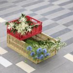 Color Crate Small - cagettes