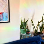 Sun catcher – Attrape soleil