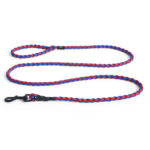 Dogs leash – laisse