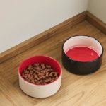 Dogs Bowl – gamelle