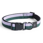 Dogs collier