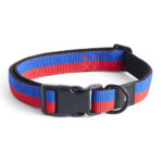Dogs collier