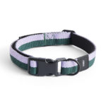 Dogs collier