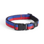 Dogs collier