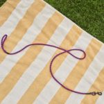 Dogs leash – laisse