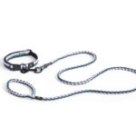 Dogs collier