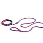 Dogs leash – laisse