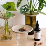 Coffret de germination
