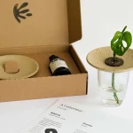 Coffret de germination
