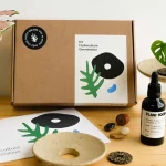 Coffret de germination