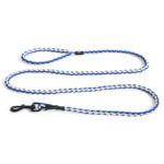 Dogs leash – laisse
