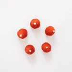 Fragola – 5 bougies d'anniversaires