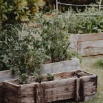 Jardin d'herbes – bougie naturelle