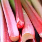 Rhubarbe – bougie naturelle