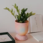 Euphoria – Cache pot et soucoupe