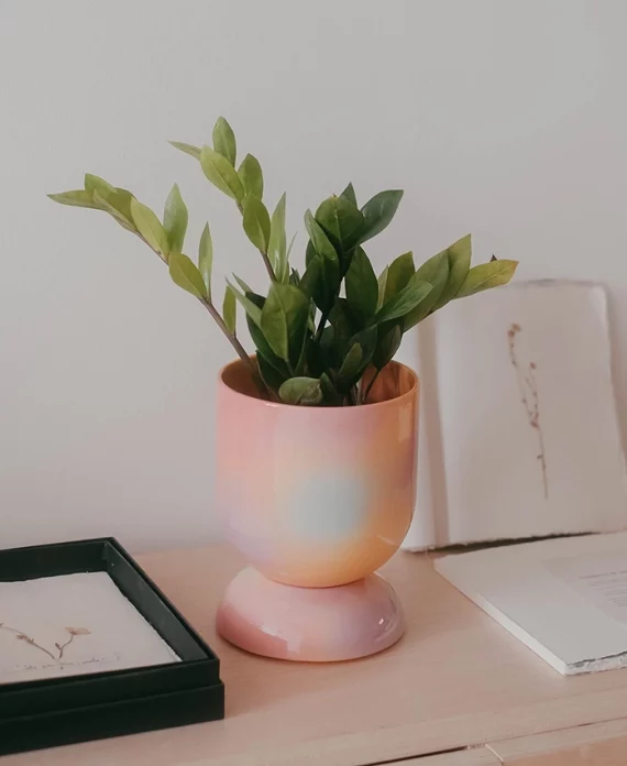 Euphoria – Cache pot et soucoupe