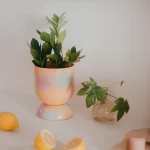 Euphoria – Cache pot et soucoupe
