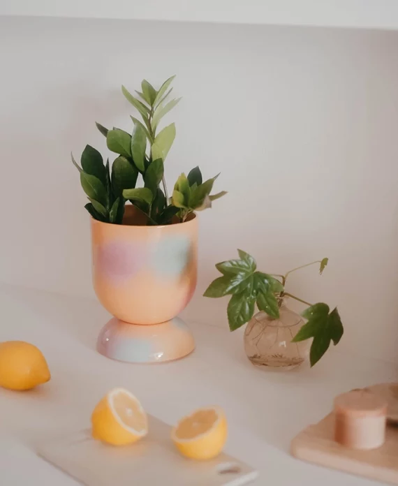 Euphoria – Cache pot et soucoupe