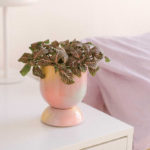 Euphoria – Cache pot et soucoupe