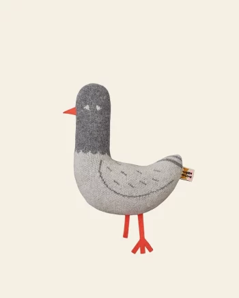 Paddy Pigeon