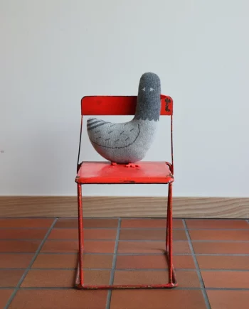 Paddy Pigeon