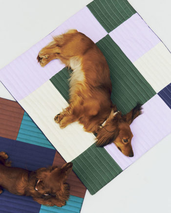Dog Travel Blanket