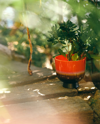 Retro Flower Pot – Cherry Red