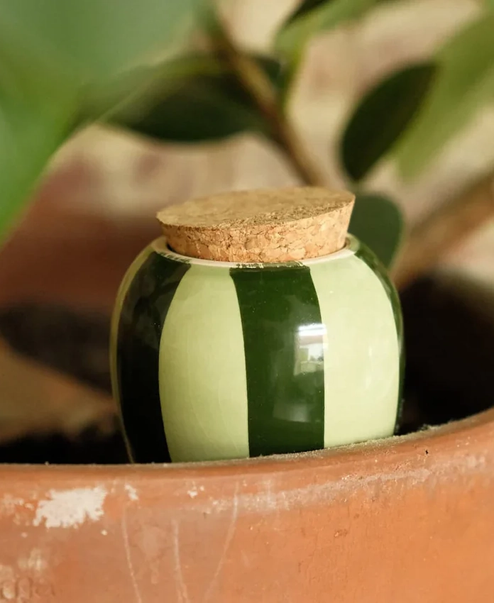 Olla - systeme d'arrosage