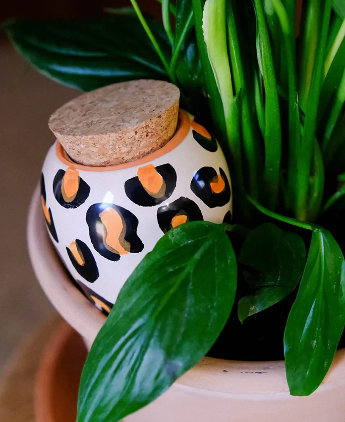 Olla - systeme d'arrosage