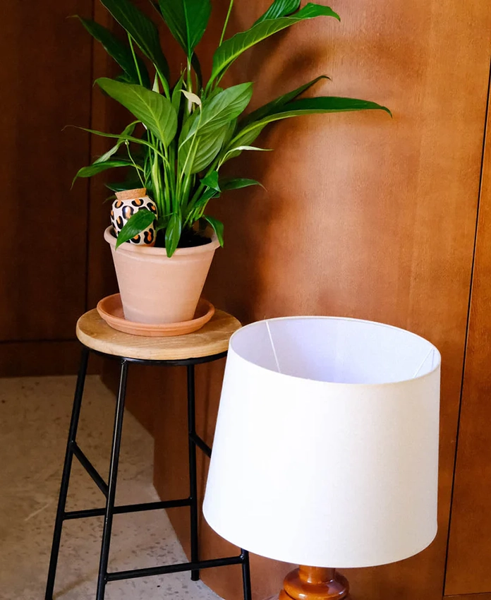 Olla - systeme d'arrosage