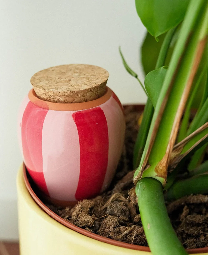 Olla - systeme d'arrosage