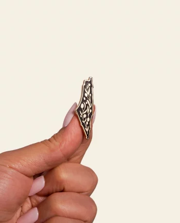 Pin's carte de la Palestine & branche d’olivier