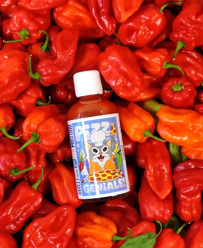 Pizza Géniale – sauce piquante