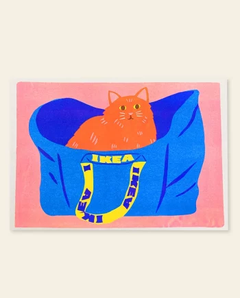 Cat in Ikea – print A3
