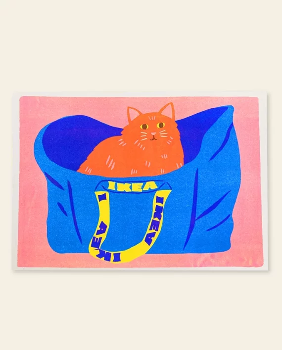 Cat in Ikea – print A3