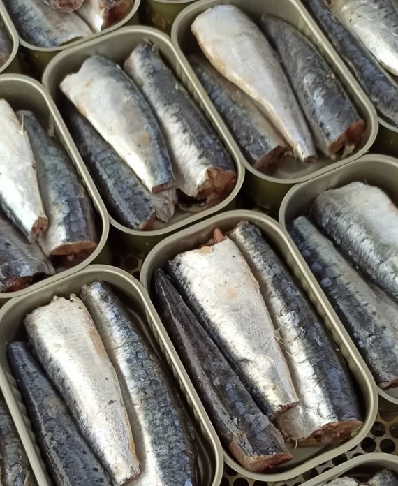 Papa Anzóis – Sardines à l'Huile d'Olive Vierge
