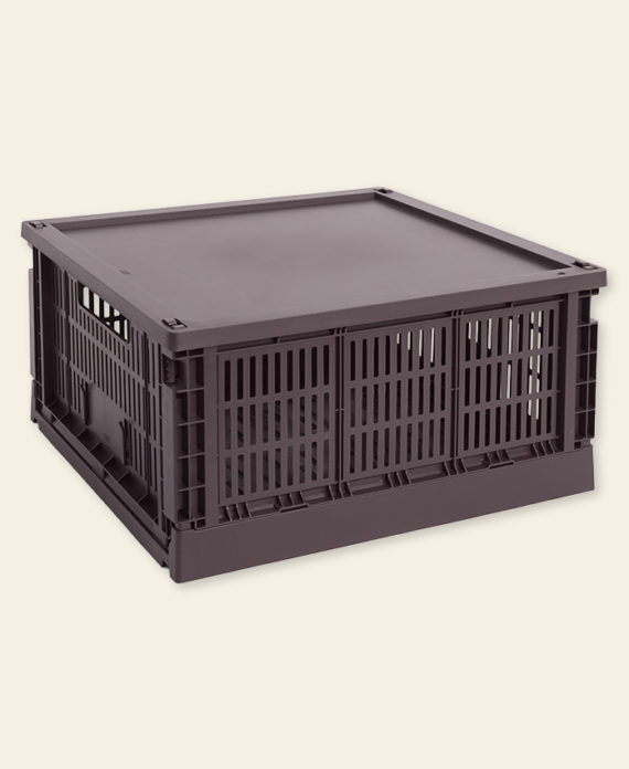 Colour Crate Lid - couvercle de cagettes