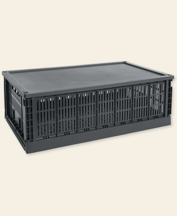 Colour Crate Lid - couvercle de cagettes