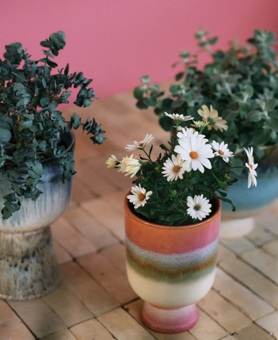 Retro Flower Pot – Rosefield