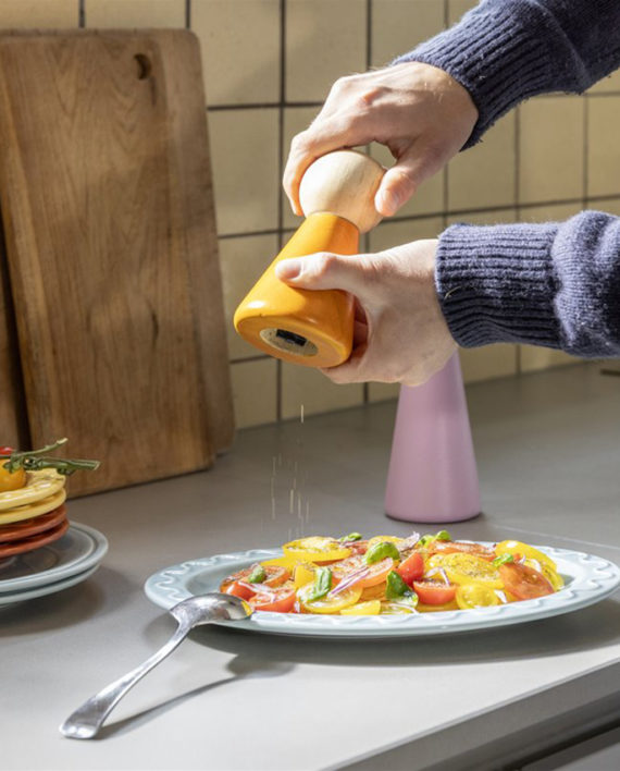 Salt & Pepper Halma – Petit moulin à sel et poivre
