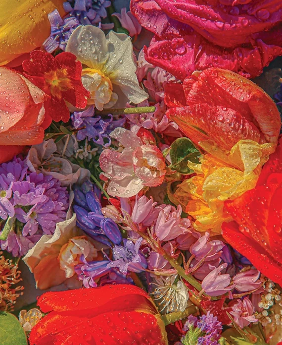 Blossom – Puzzle