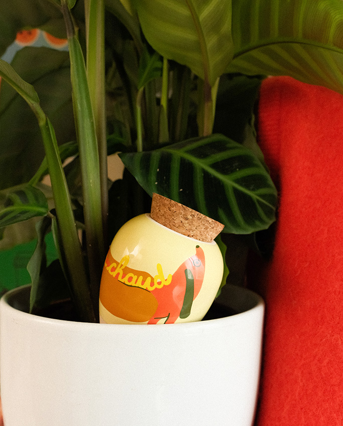 Olla - systeme d'arrosage