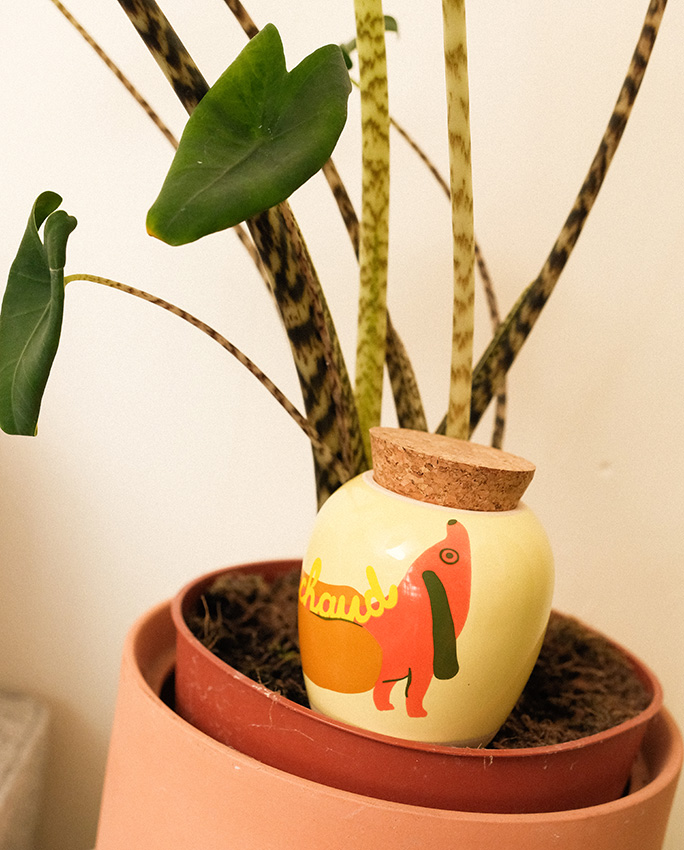 Olla - systeme d'arrosage