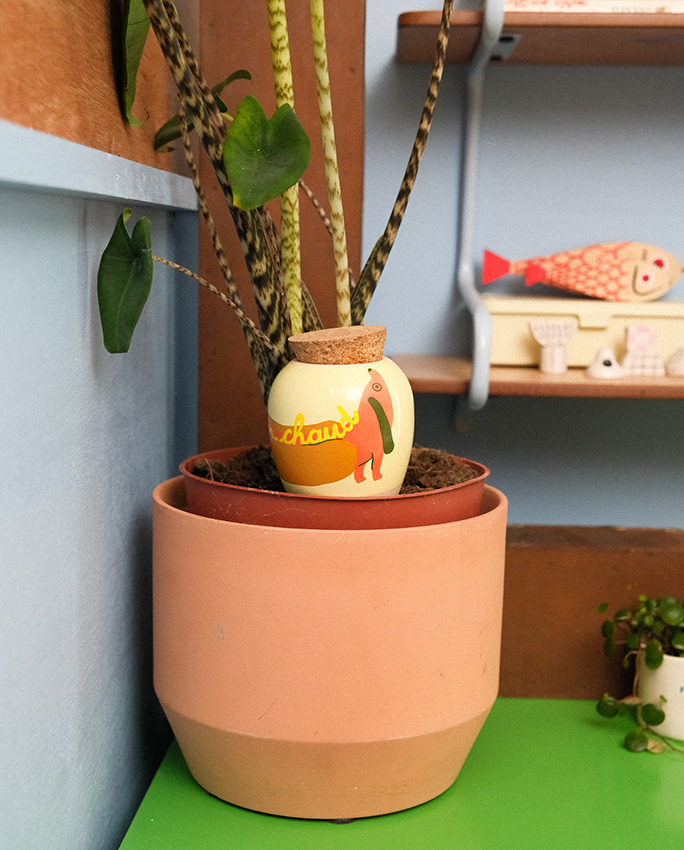 Olla - systeme d'arrosage