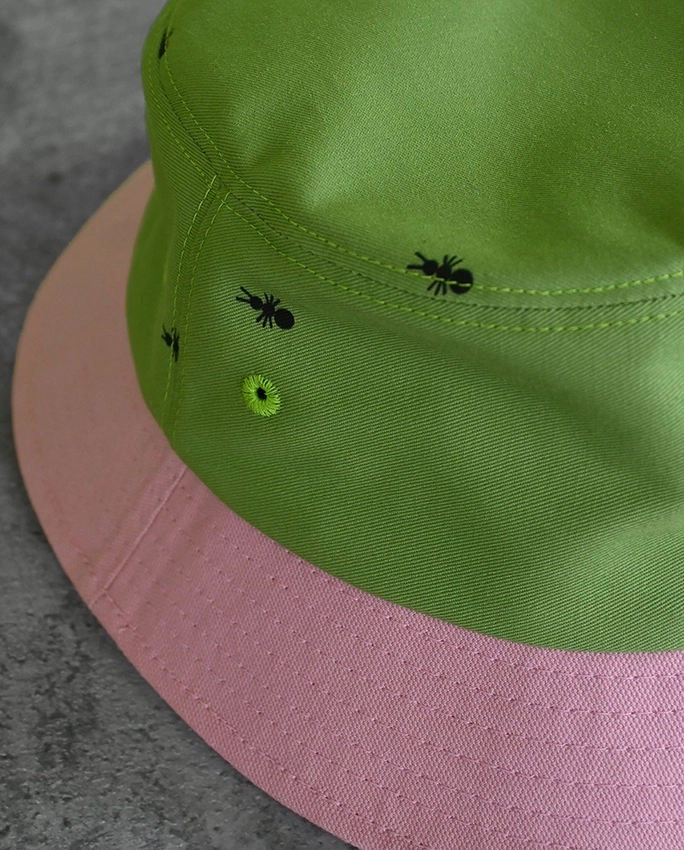 Ants on Your Hat – Bob