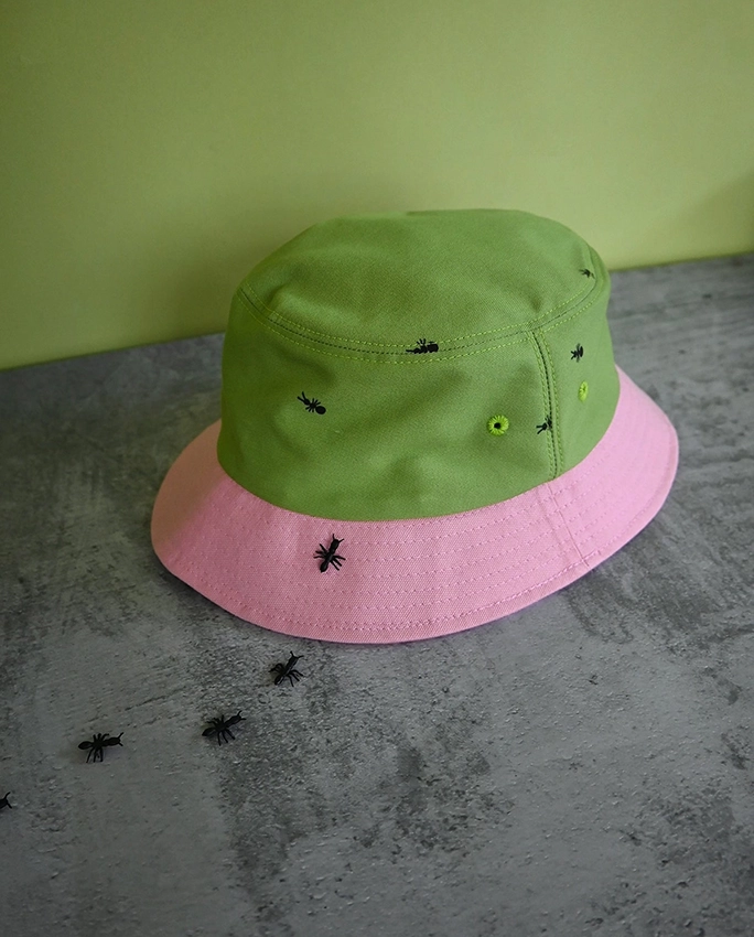 Ants on Your Hat – Bob