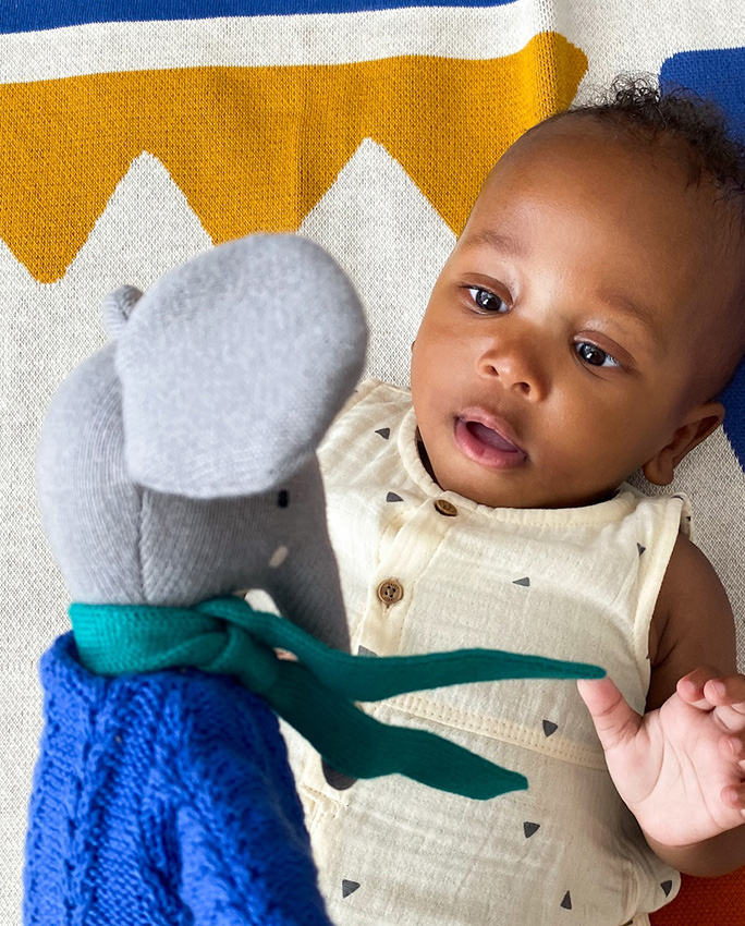 Knitted Ragdoll Collection