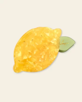 Pinces à cheveux