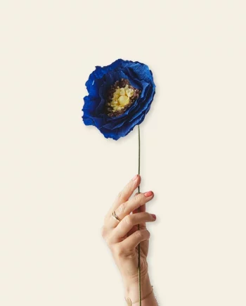 Ice Poppy – fleur en papier